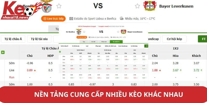 Nền tảng cung cấp nhiều loại kèo bóng đá khác nhau